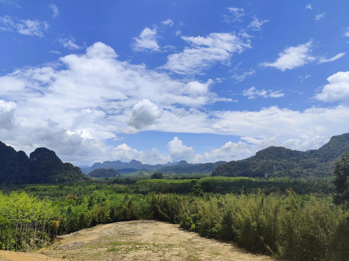 Wild Kingdom Explorer: The Southern Ridge Expedition (8 Tage)
