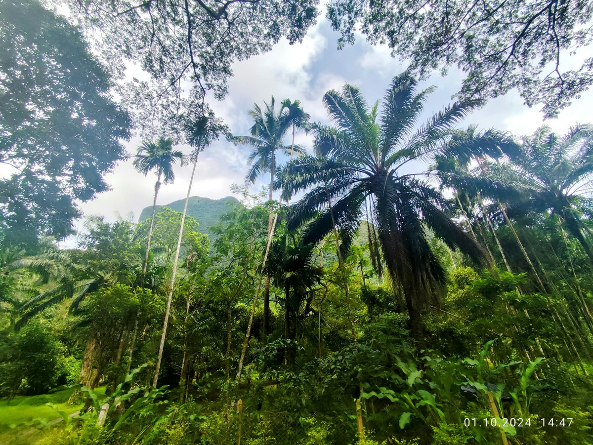 Wild Kingdom Explorer: The Southern Ridge Expedition (8 Tage)