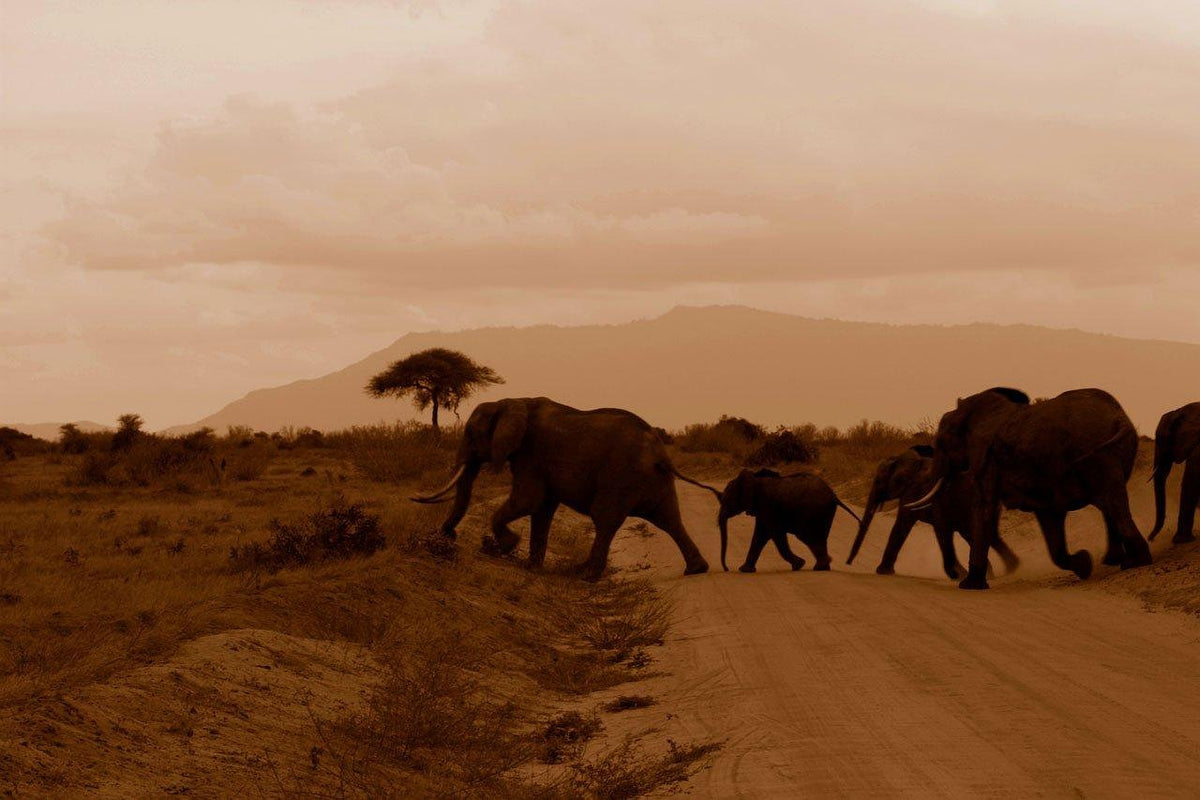 Die Afrika-Expedition Nordwärts – Kapstadt nach Mombasa (März/April 2028, 35 Tage)